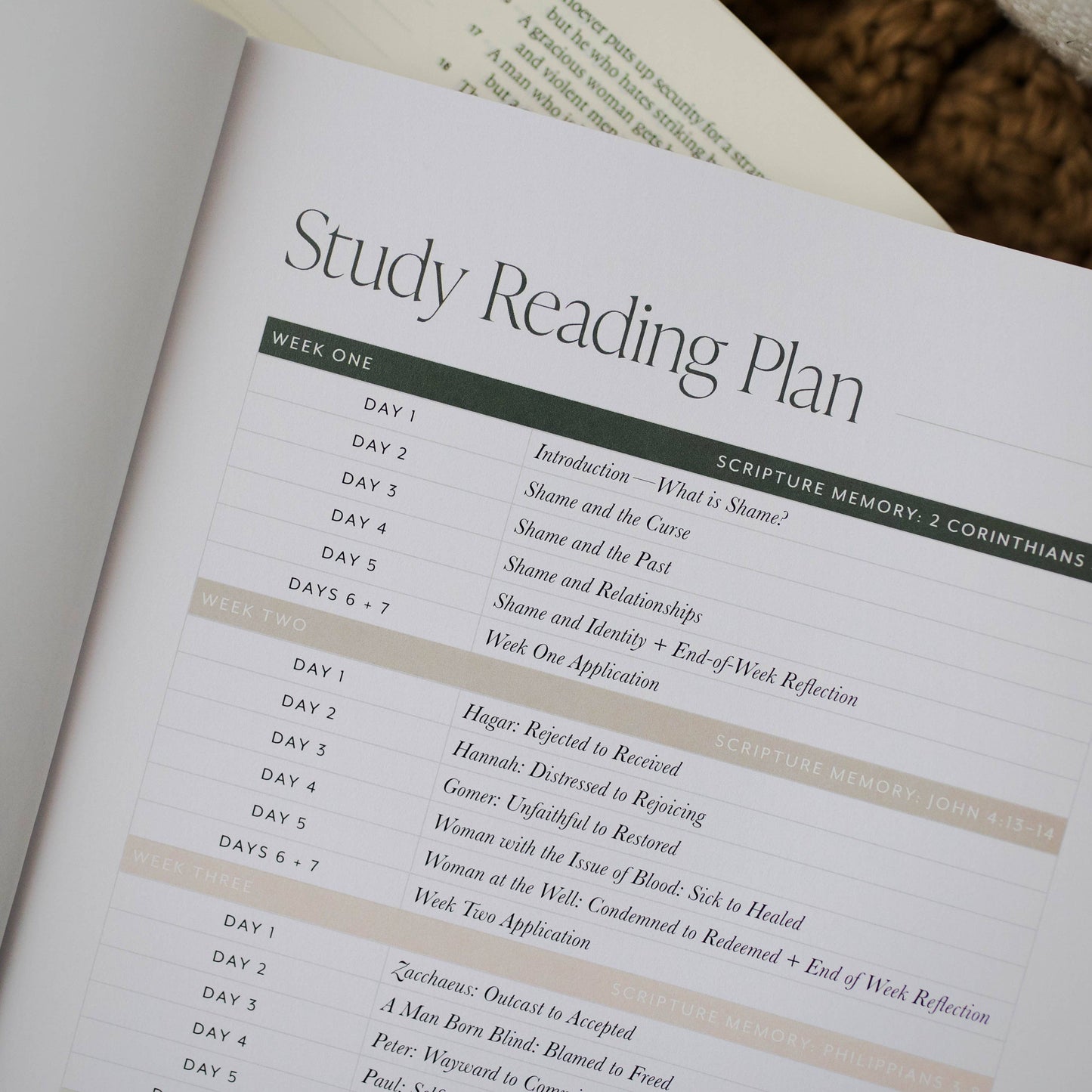 Free From Shame | How the Gospel Redeems our Past and Pain Study