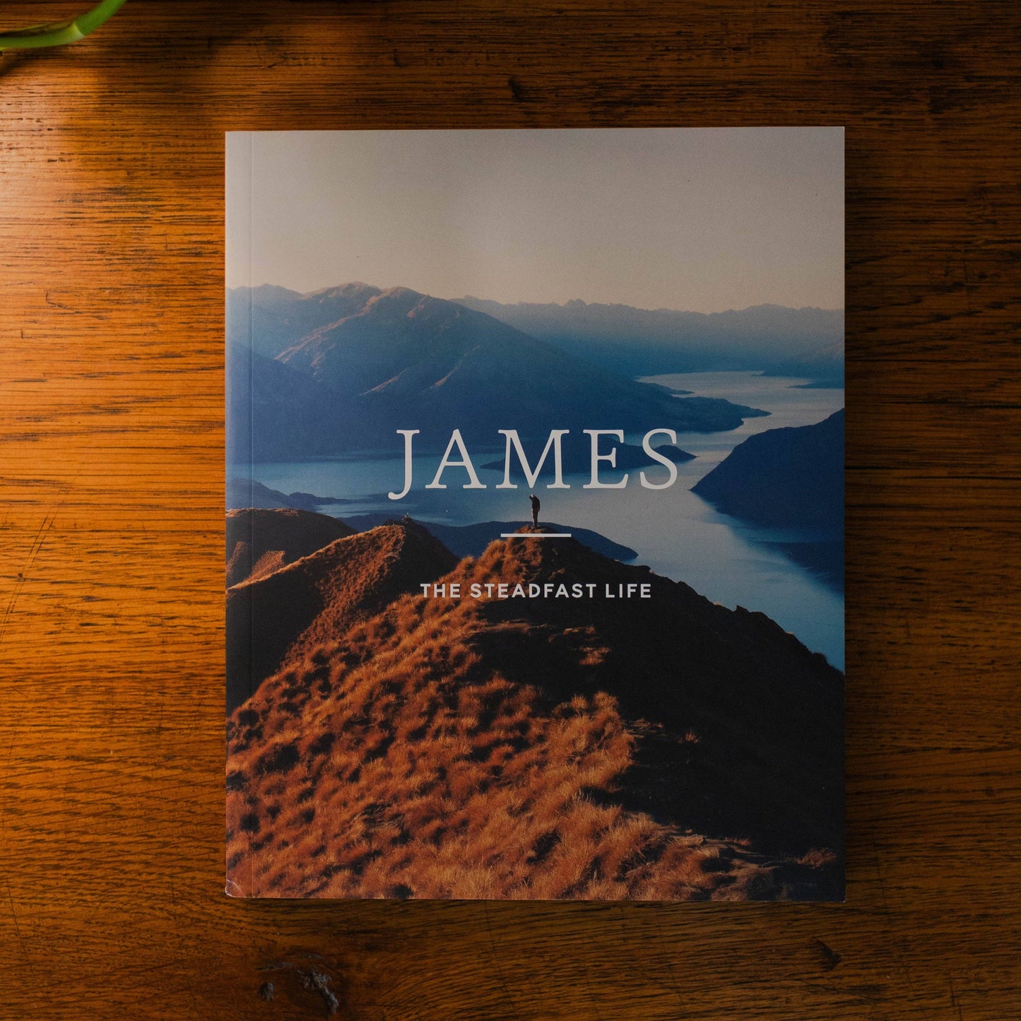 James | The Steadfast Life Study - Men