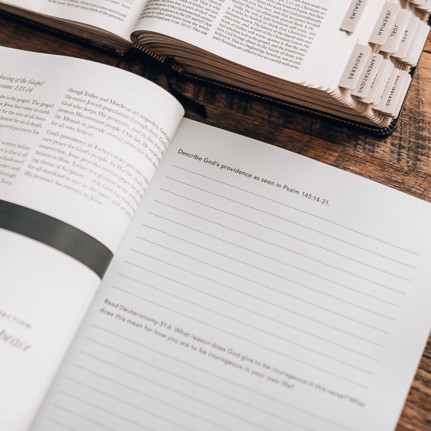 Esther | Seeing God When He Is Silent Study - Men