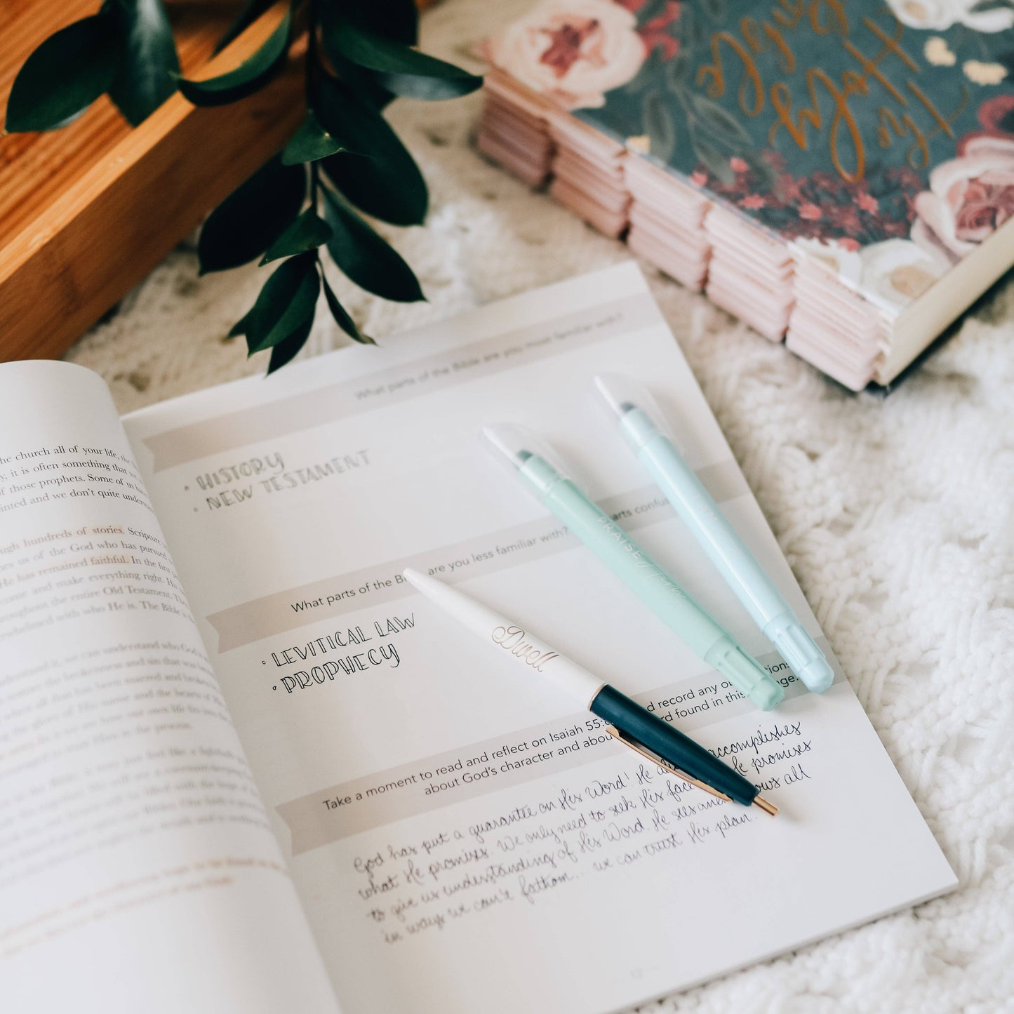 Amen | From Eden to Eternity Study