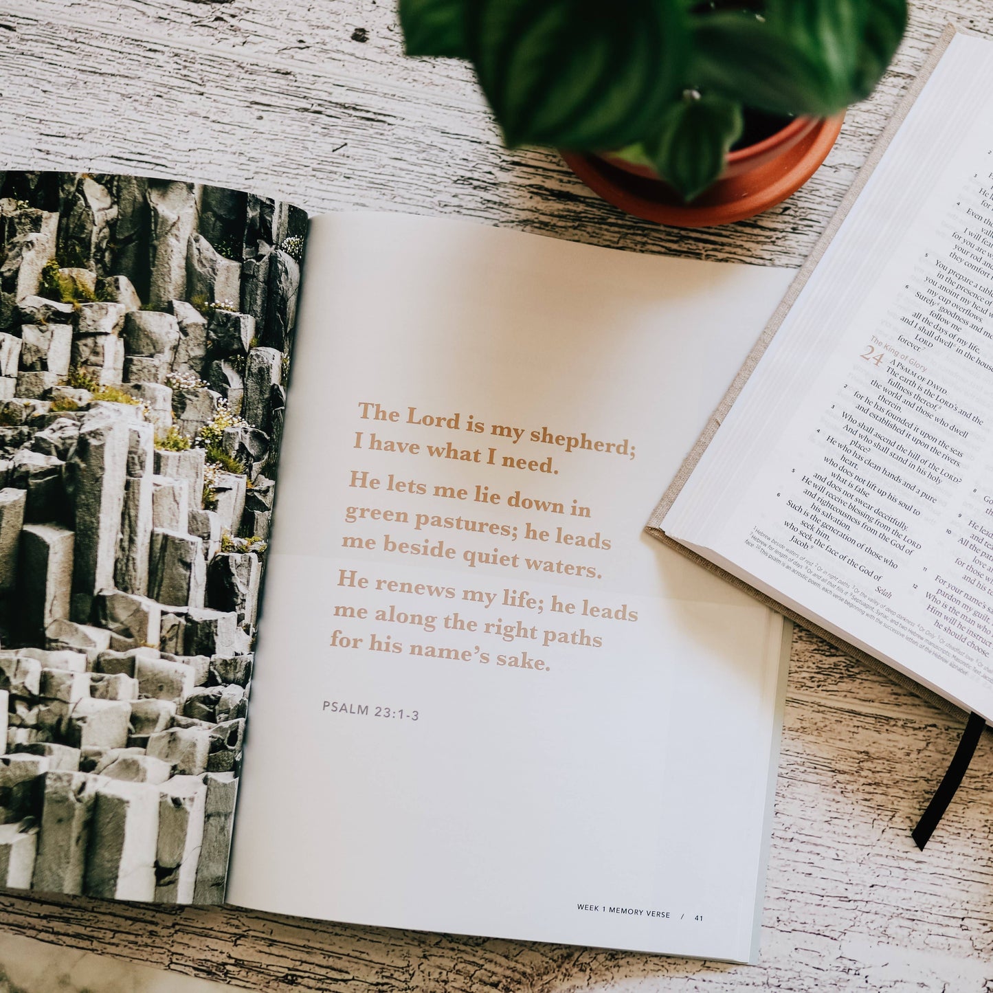 He Leads Me | Study of Psalm 23 - Men