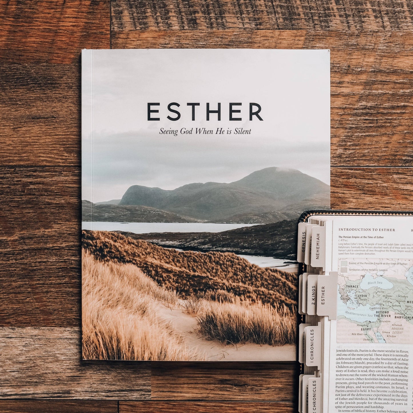 Esther | Seeing God When He Is Silent Study - Men