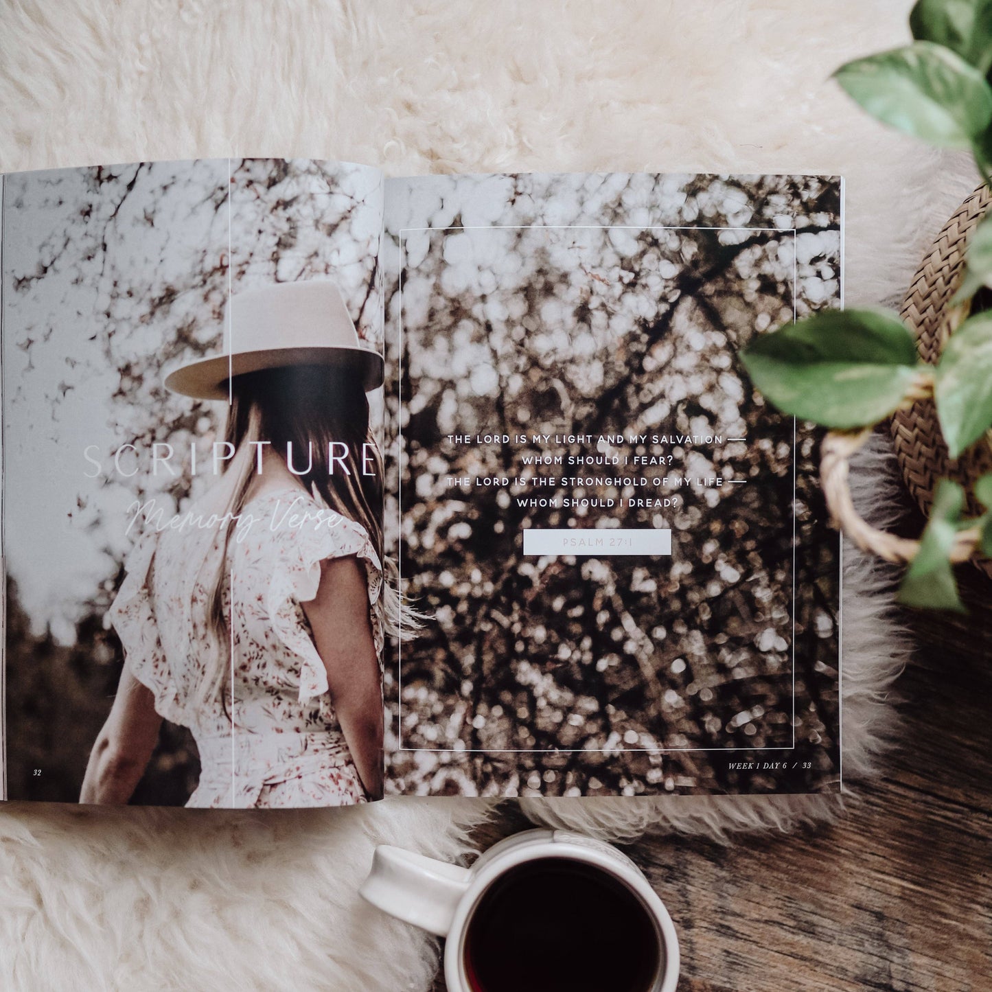 When Fear Meets Faith Study