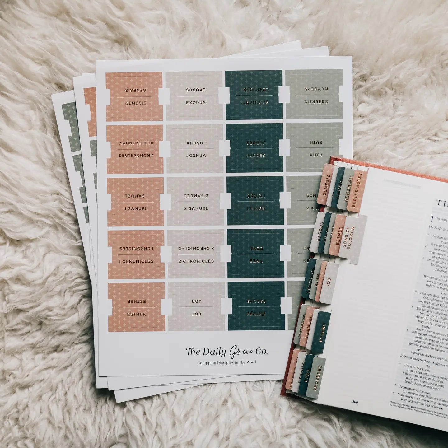 Bible Tabs | Multiple Color Options