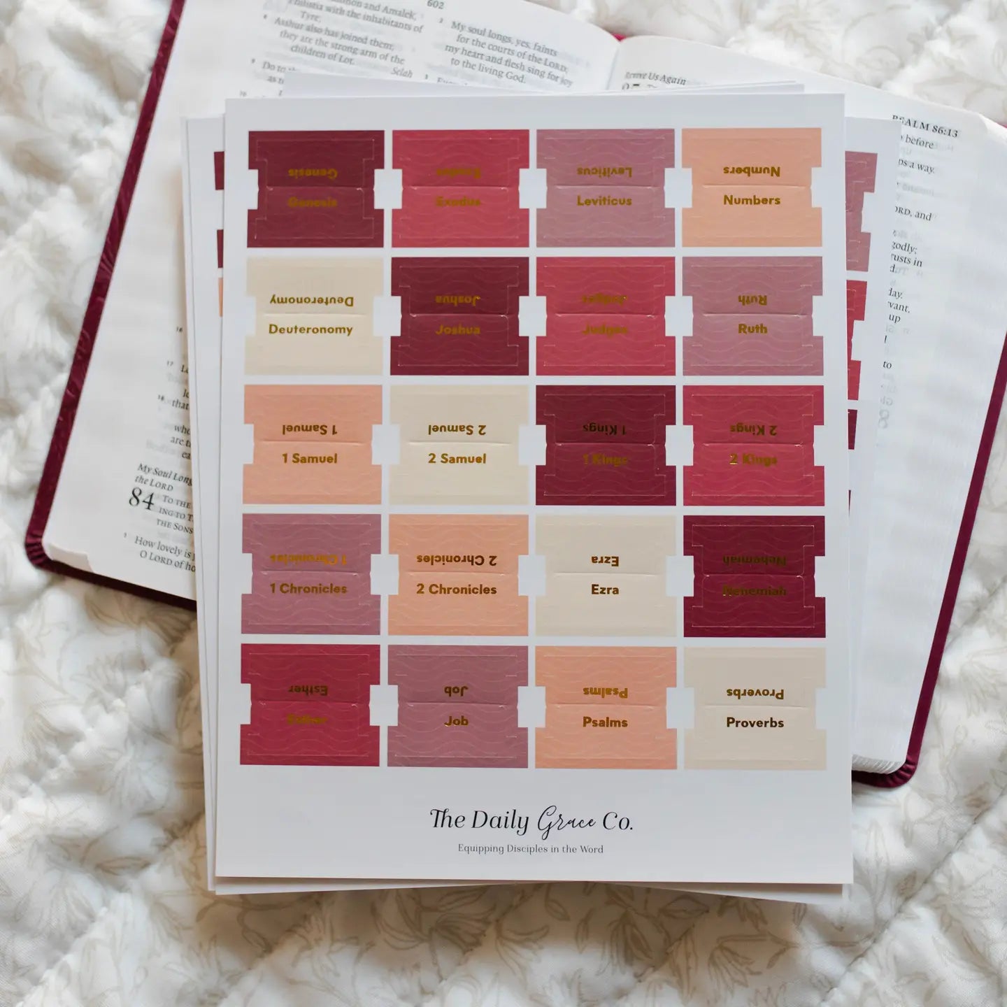 Bible Tabs | Multiple Color Options