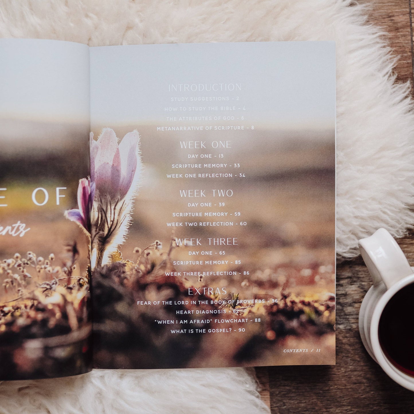 When Fear Meets Faith Study