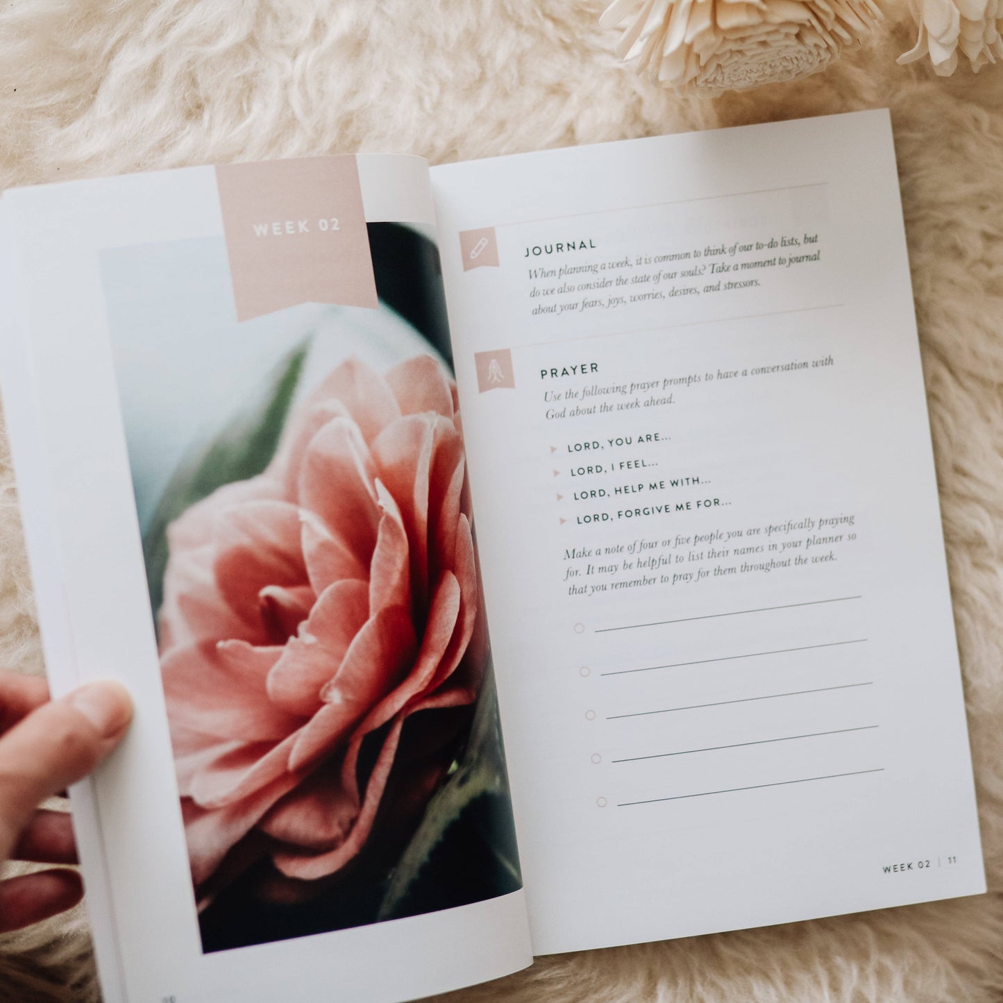 Fix Your Focus | A 52-Week Guide to Help You Put God First Booklet