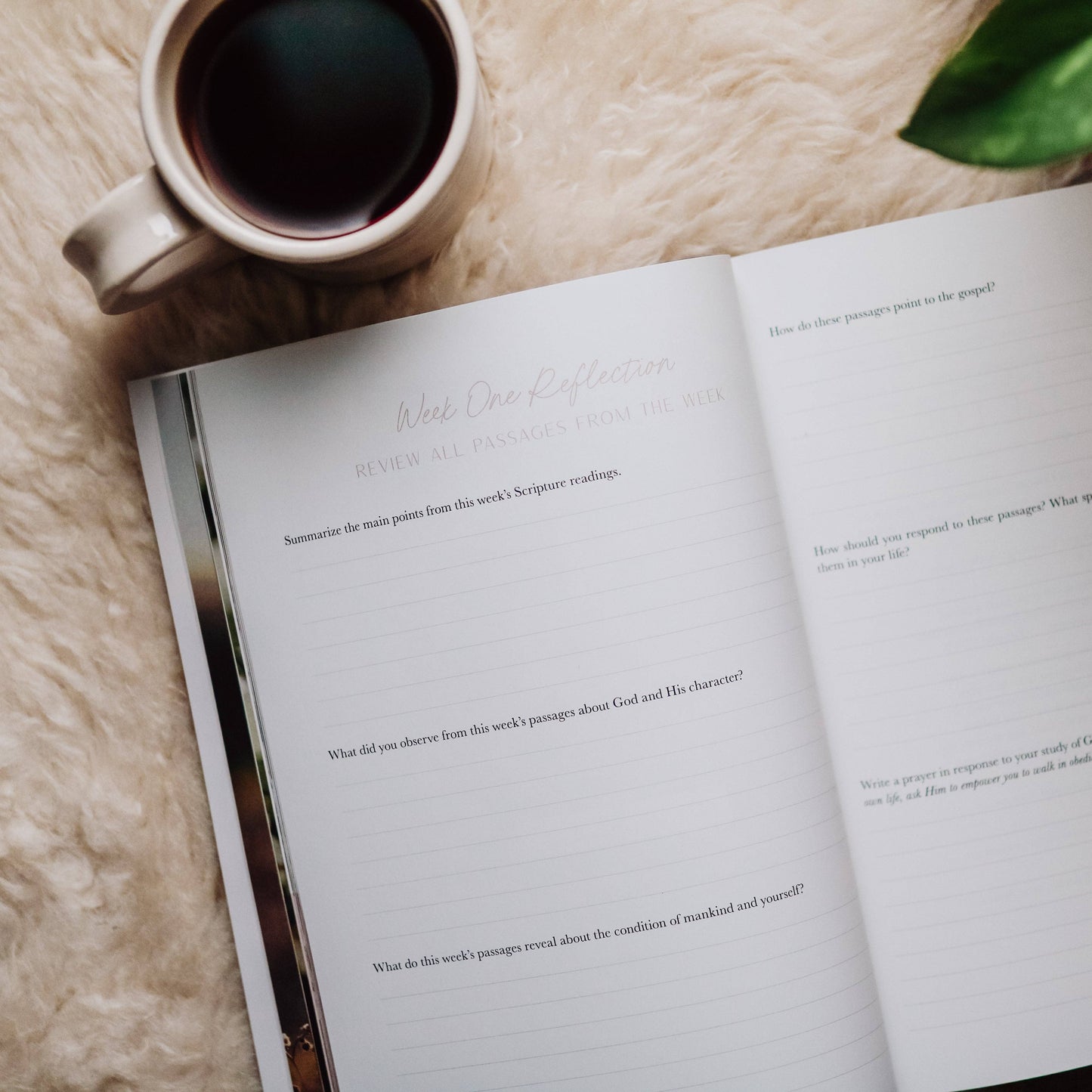 When Fear Meets Faith Study