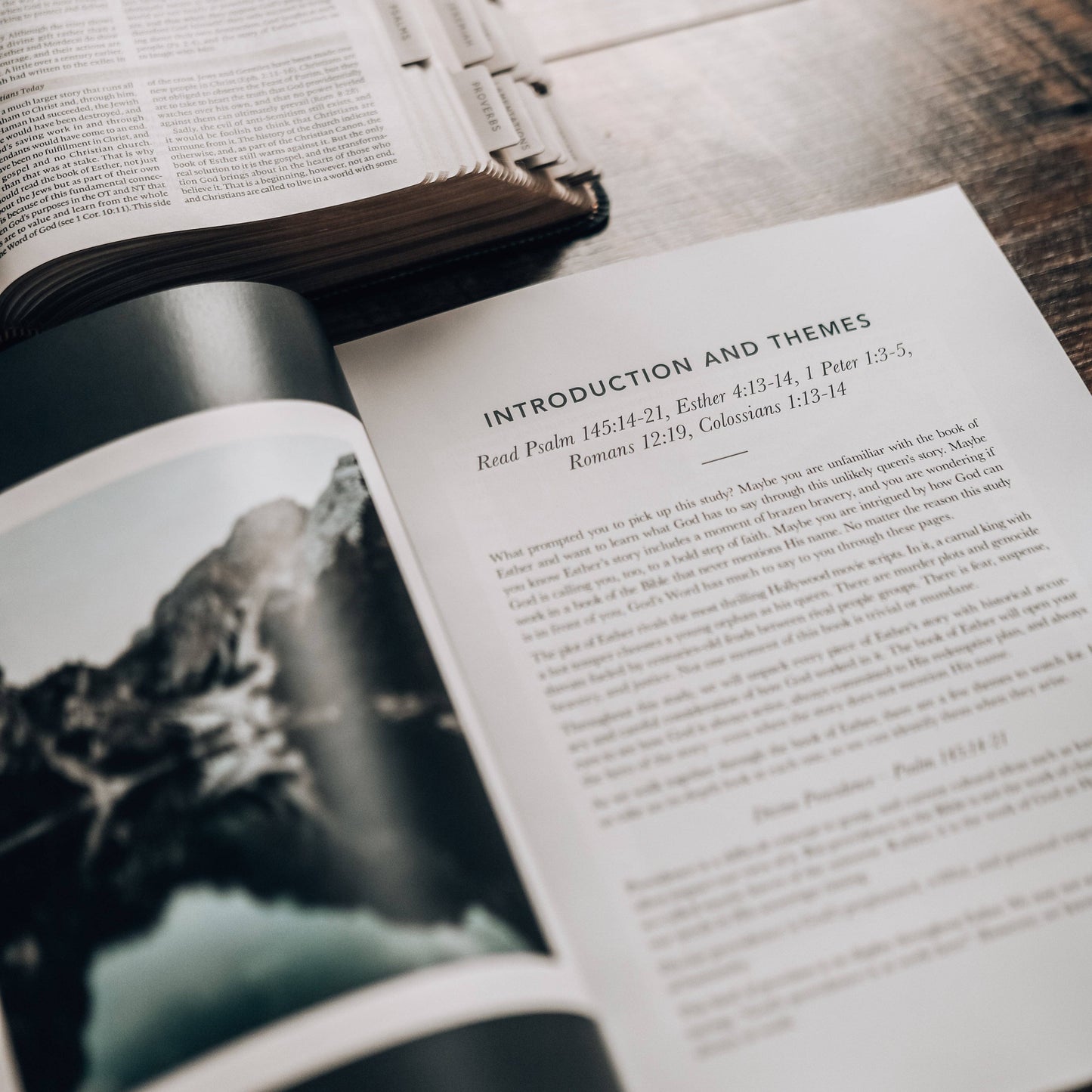 Esther | Seeing God When He Is Silent Study - Men