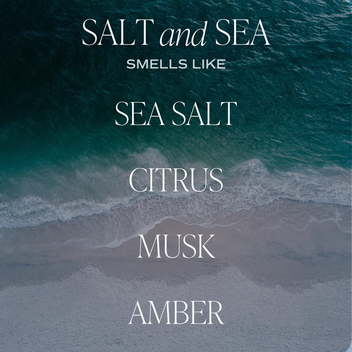 "Salt & Sea" Hanging Car Air Freshener