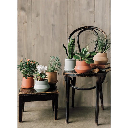 Nest Plant Pot | Multiple Colors