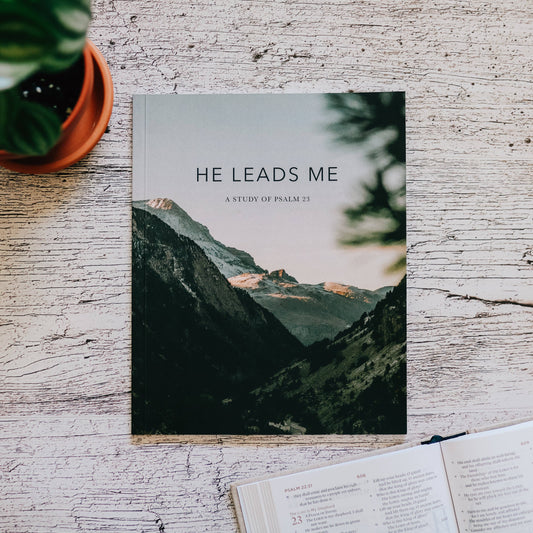 He Leads Me | Study of Psalm 23 - Men