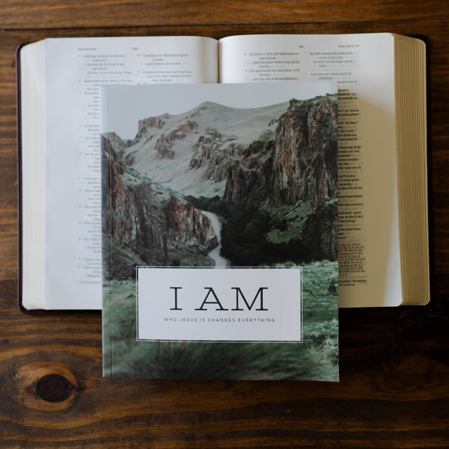 I Am - Who Jesus is Changes Everything Study - Men